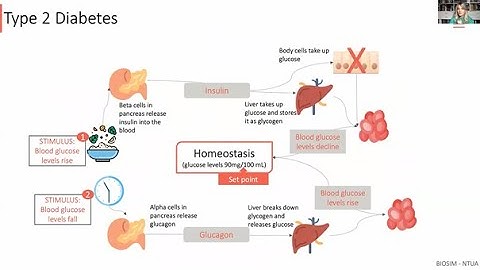 Prof. Konstantina Nikita: Multimodal data fusion and Al towards personalied diabetes care