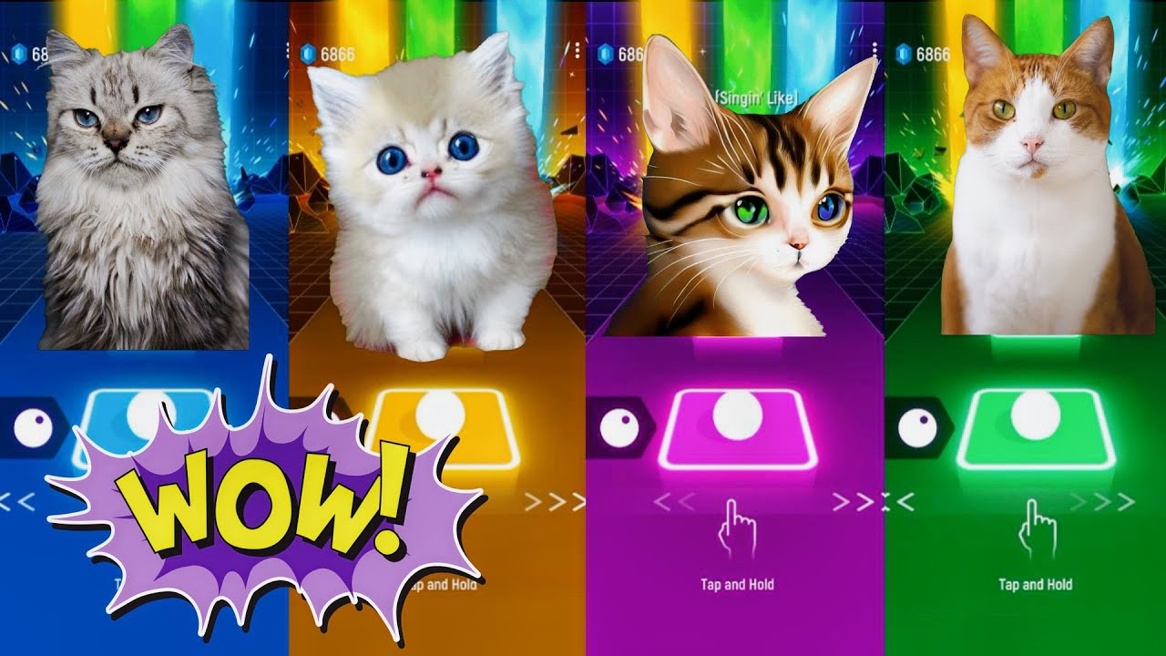 Archie cat🆚Hisa cat🆚Sylvia cat🆚Hunter cat - Tiles Hop.🎶 Who Will Win ...
