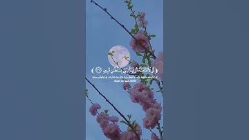 #قران_كريم  🌿تلاوة من سورة النمل 🌿القارئ ياسر الدوسري 🌿