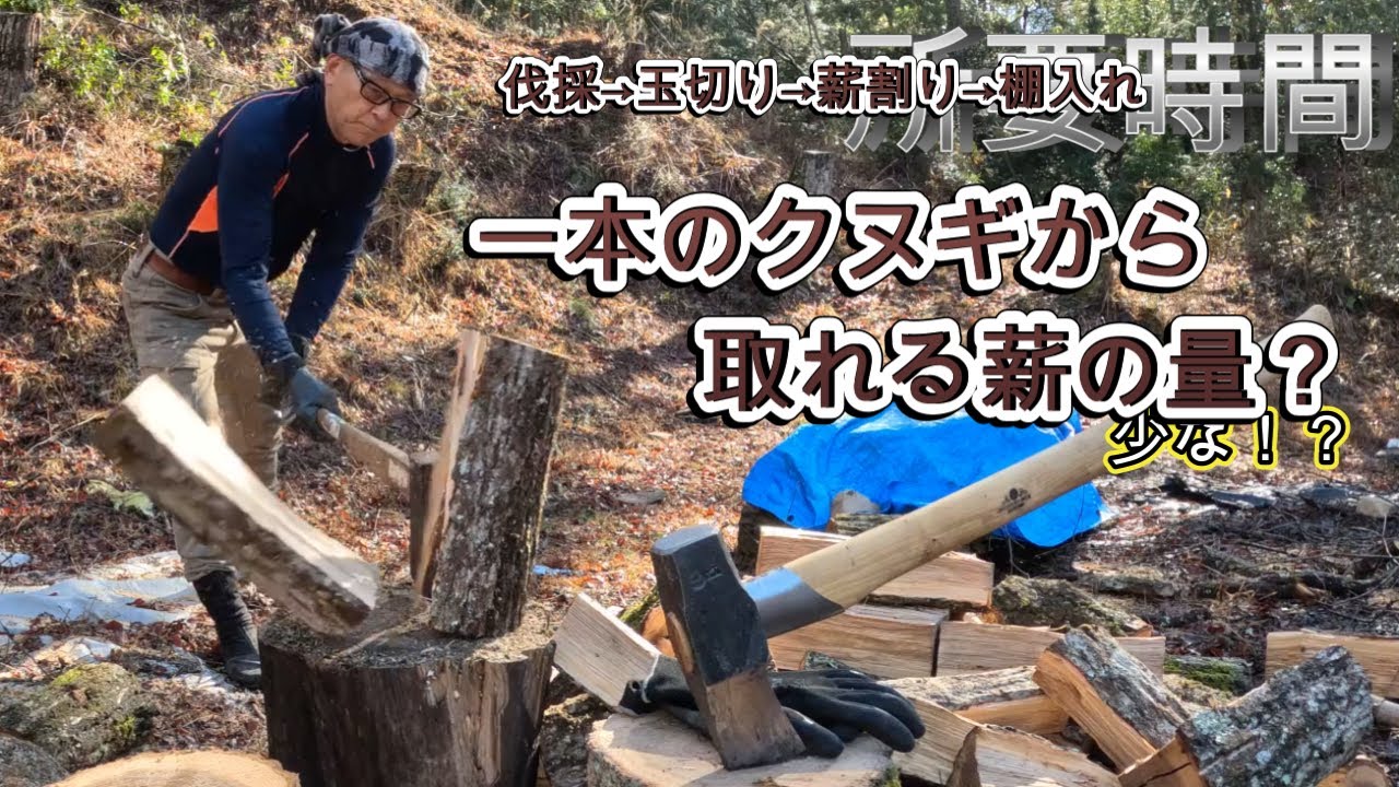 山曜日65【樹齢40年のクヌギから取れる薪の量】薪割りの注意点とやり方