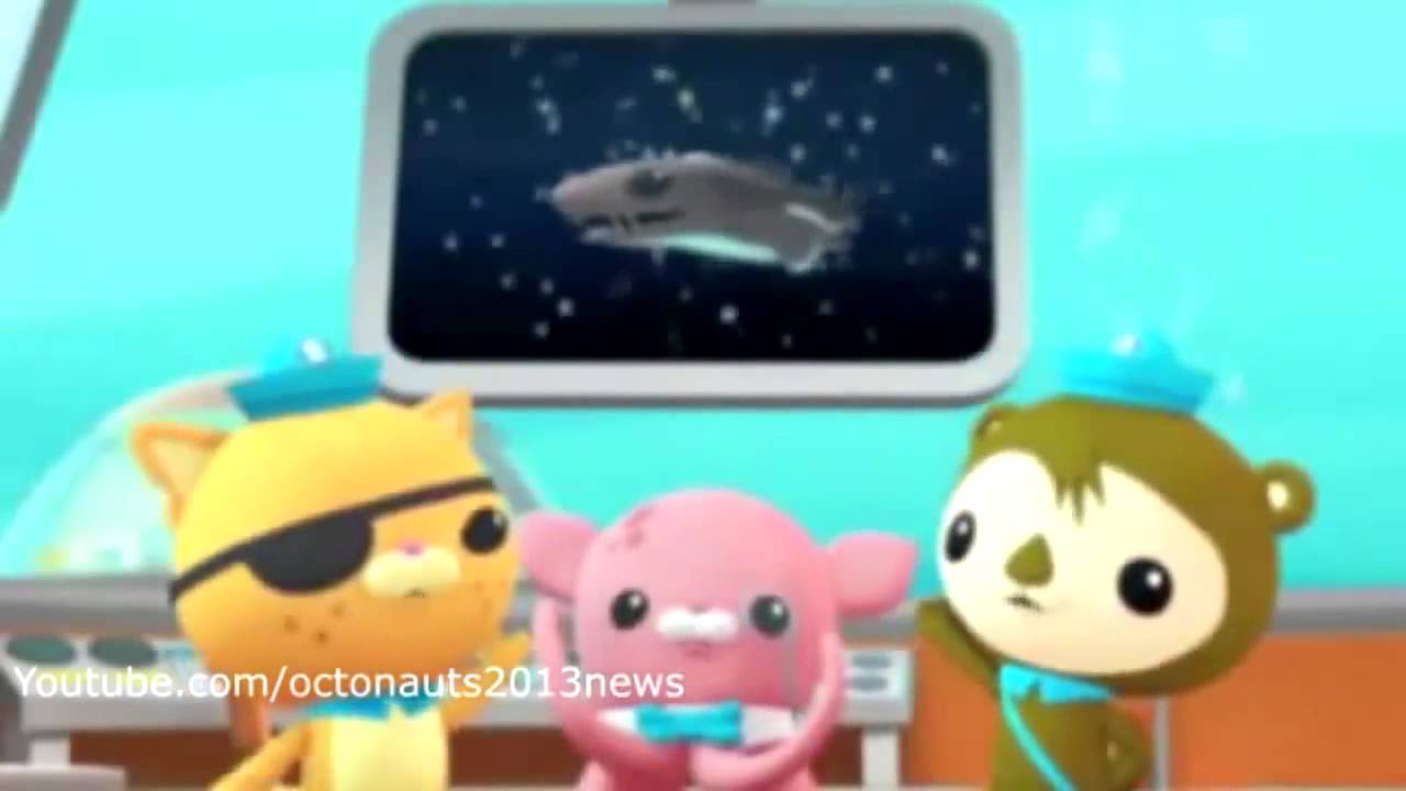 Vlc Record 2015 04 27 20h50m36s Octonauts Bonus Creature Report The Dwarf Lanternshark Hd Episo Youtube