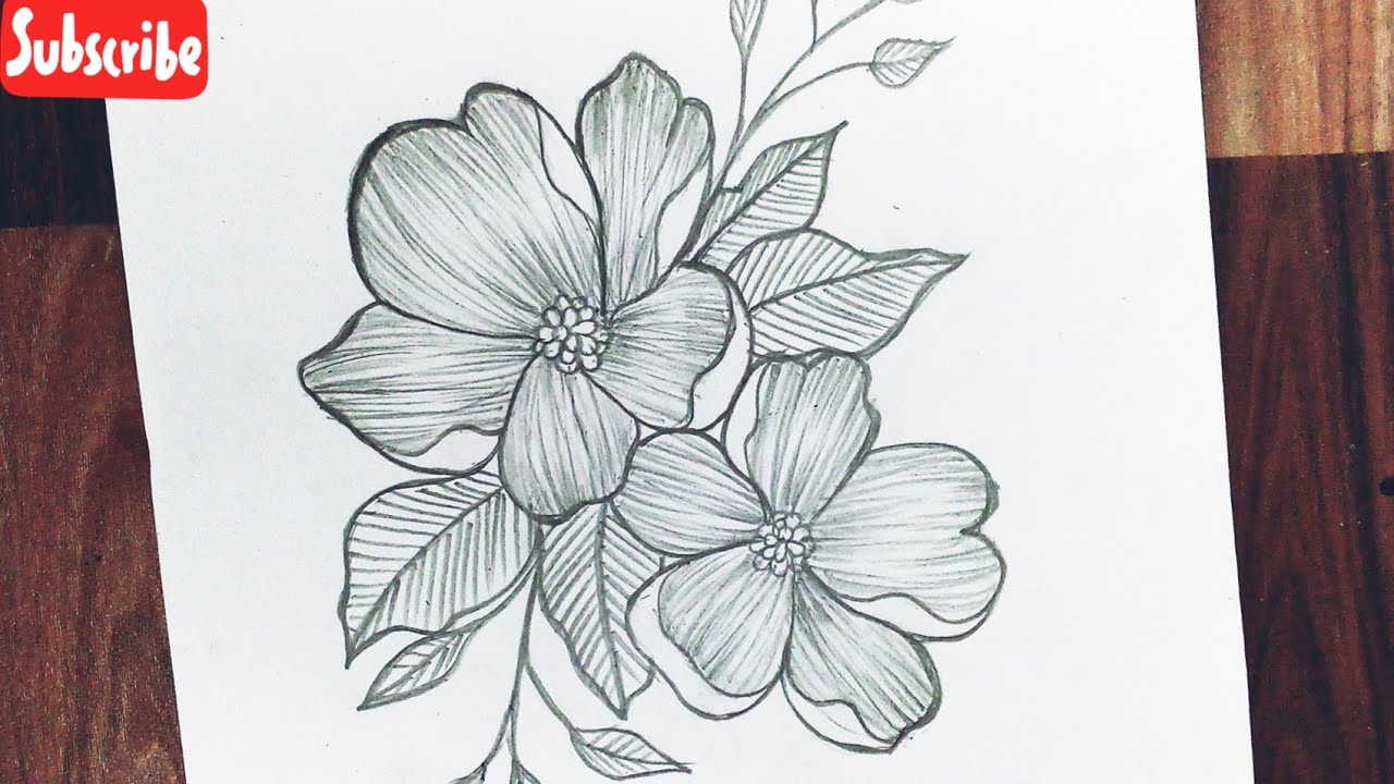 Top 230+ simple flower sketch latest