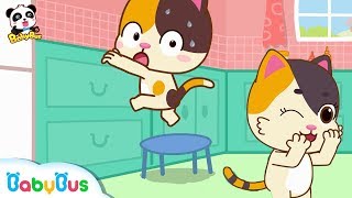 baby kitten dont climb up high kids safety tips at home potty training kids song babybus