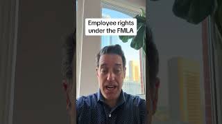 Some employers will retaliate bc of FMLA #employmentlaw #employmentlawyer #fyp