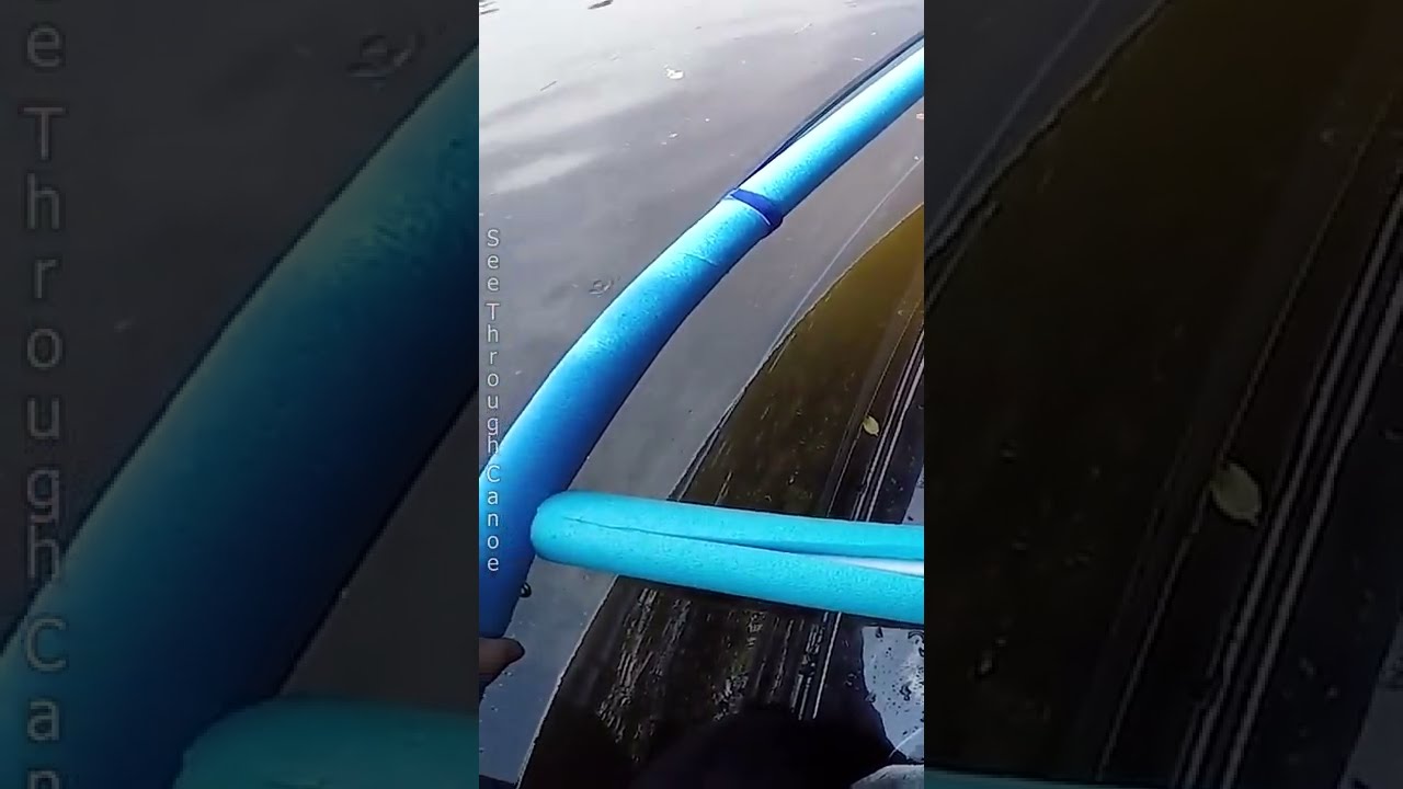 Big Alligator Surfaces Under A Clear Kayak Scary Lakelizard Nope Florida Wil