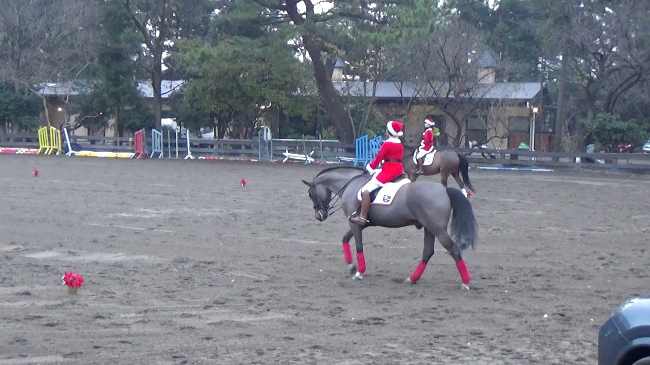 馬術を楽しもう トップライダー大集結 クリスマスホースフェスタ Pacalla パカラ