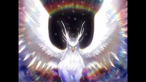 REINCARNATION / P*Light