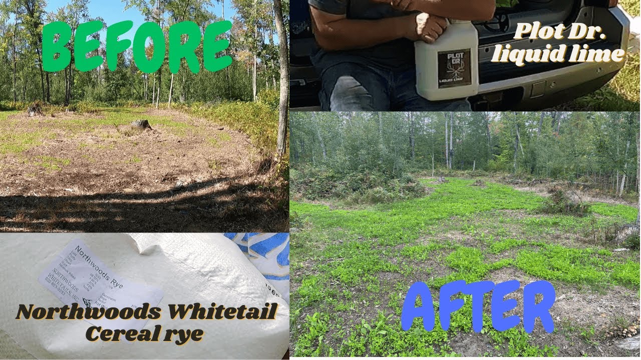 Spreading liquid lime and Cereal rye as a last resort to no soil sample before bow season🤦‍♂️🤞💪💪