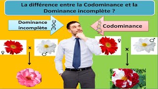 Différence entre codominance et allèles multiples