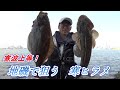 寒くても釣れる！岡山の地磯から寒ヒラメを釣る！