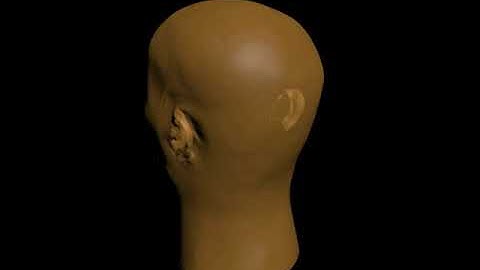 Skin Feature (Head)