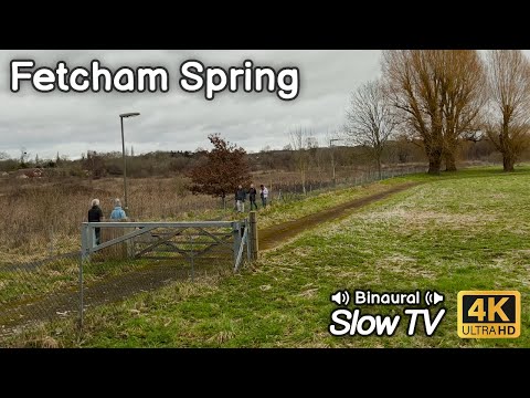 Walking Cobham Road in Fetcham - 4K 60fps HDR