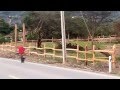 TERRENOS DE VENTA EN MALACATOS, Barrio Taxiche, sector Cabianga, Loja