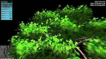 Tree Generator Side Project - Panoramic