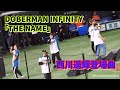 2018.04.07 DOBERMAN INFINITY 西川遥輝選手登場曲「THE NAME」をライブ披露!