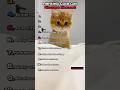 Ranking cute cat hiccup moments #ranking #cat #shortsfeed