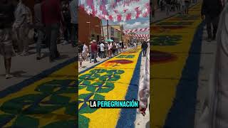 Caminando por Mexticacan Jalisco y sus Tapetes de Colores #tradiciones #fé #pueblo #mexico