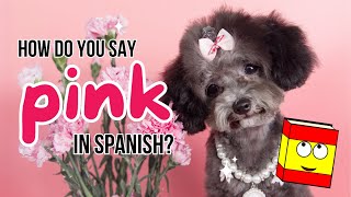 How to Say Pink in Spanish Spanish Colours for Beginners