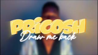 Draw me back - Pricosh