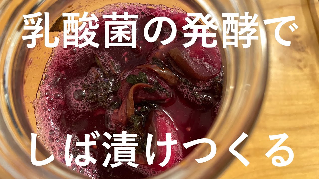 なす 赤しそ 塩だけ 乳酸菌で発酵させるしば漬けの作り方 暮らしvlog 13 Youtube