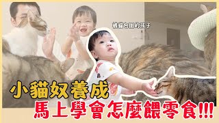 【六寶日常EP6】小貓奴養成！被貓圍繞的孩子 💕 教完馬上就學會怎麼餵零食！｜♡彥婷feat.六寶