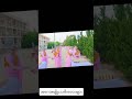 ;Peace in Pink: The Serene Sight of Buddhist Nuns Collecting Alms in Myanmar