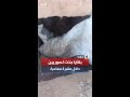 العثور على رفات وعظام قيل إنها لضحايا النظام السوري السابق