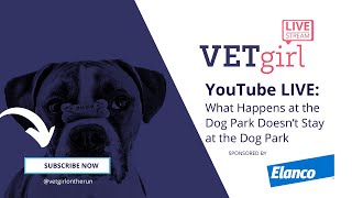 YouTube LIVE: What Happens at the Dog Park Doesn’t Stay at the Dog Park