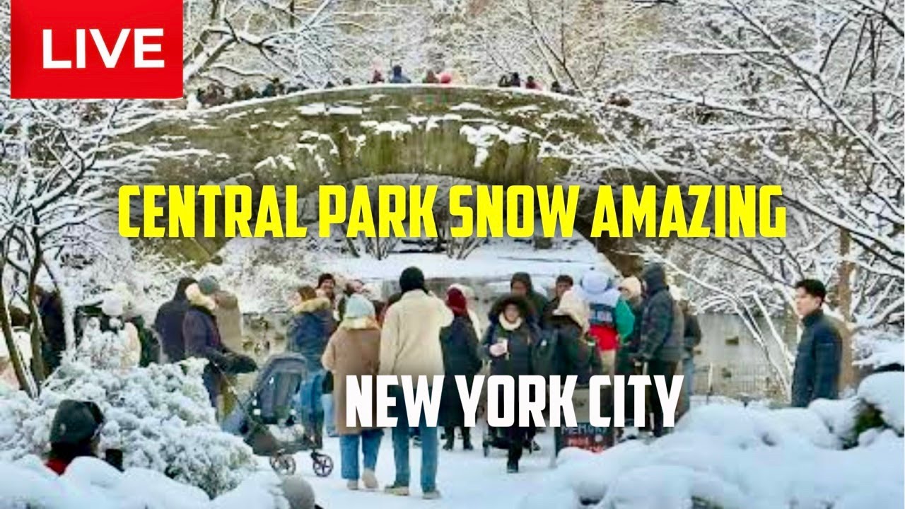 New York City- Central Park After Winter Snowstorm | Times Square ...