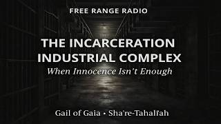 Caged conscience - Follow the Money of Mass Incarceration