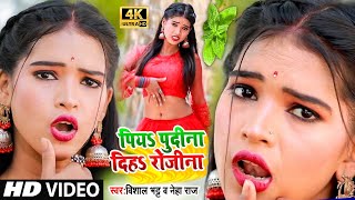 Lelo Pudina Lelo Pudina| - Vishal Bhatt, Neha Raj / Lelo Pudina Arkestra 