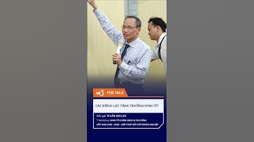 Các động lực tăng trưởng kinh tế (Phần 2) - Chia sẻ của TS Cấn Văn lực tại Hội thảo FSB