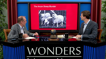 WWN   Dr  Jerry Bergman   Evolution’s Blunders, Frauds, and Forgeries   OFFICIAL TRAILER 4K