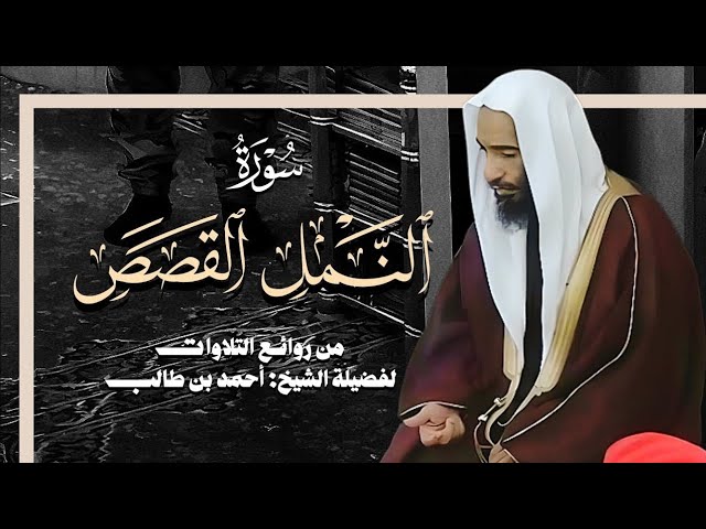 بقلبٍ يملؤه الشجن و الخشوع ٠٠ يشنف الشيخ : أحمد طالب أسماع المصلين بتلاوة بهية من ليالي تهجد 1444هـ.