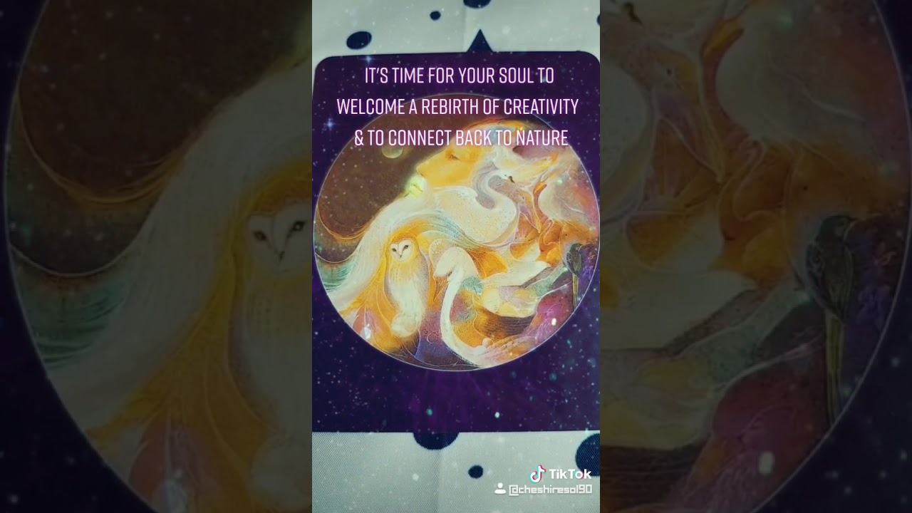 [TikTok] Bird Spirits Message for May 2020 - YouTube