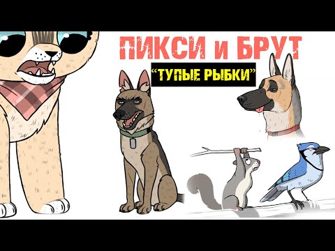 Пикси и Брут "ТУПЫЕ РЫБКИ". Трогательная история дружбы военного Пса и Котенка! Комиксы от ХаХмачо