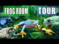 You Won't Believe this Frog Room... | Rainforest Junkys Part 2
