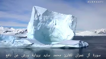 محمد سايد - سورة آل عمران |003| MOHAMED SAYED - SURAT AL EIMRAN