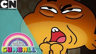 The Amazing World of Gumball | Who's in the House? | Cartoon Network