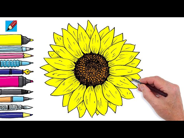 How to Draw Sunflowers - HelloArtsy