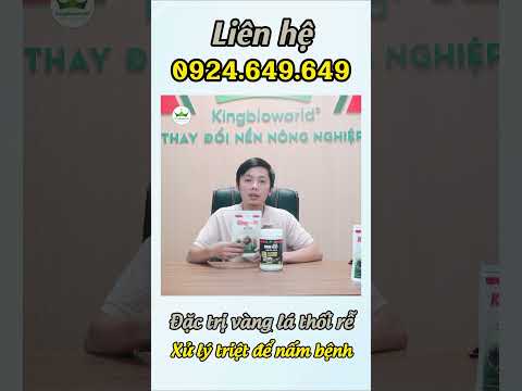 Bộ đôi trị vàng lá thối rễ dứt điểm sau 2 lần phun, King 68, King F1 phục hồi cây nhanh sau bệnh 2023 mới nhất