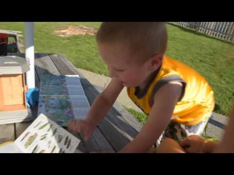 William reviews The Kaufman Field Guide to Insect of North America. August 7, 2016