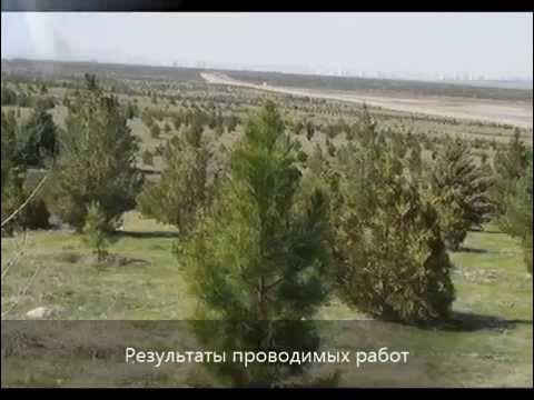 Сапропеле-органический капсульный почвообразователь - YouTube