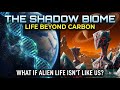 The Shadow Biome: Life Beyond the Carbon Constraint
