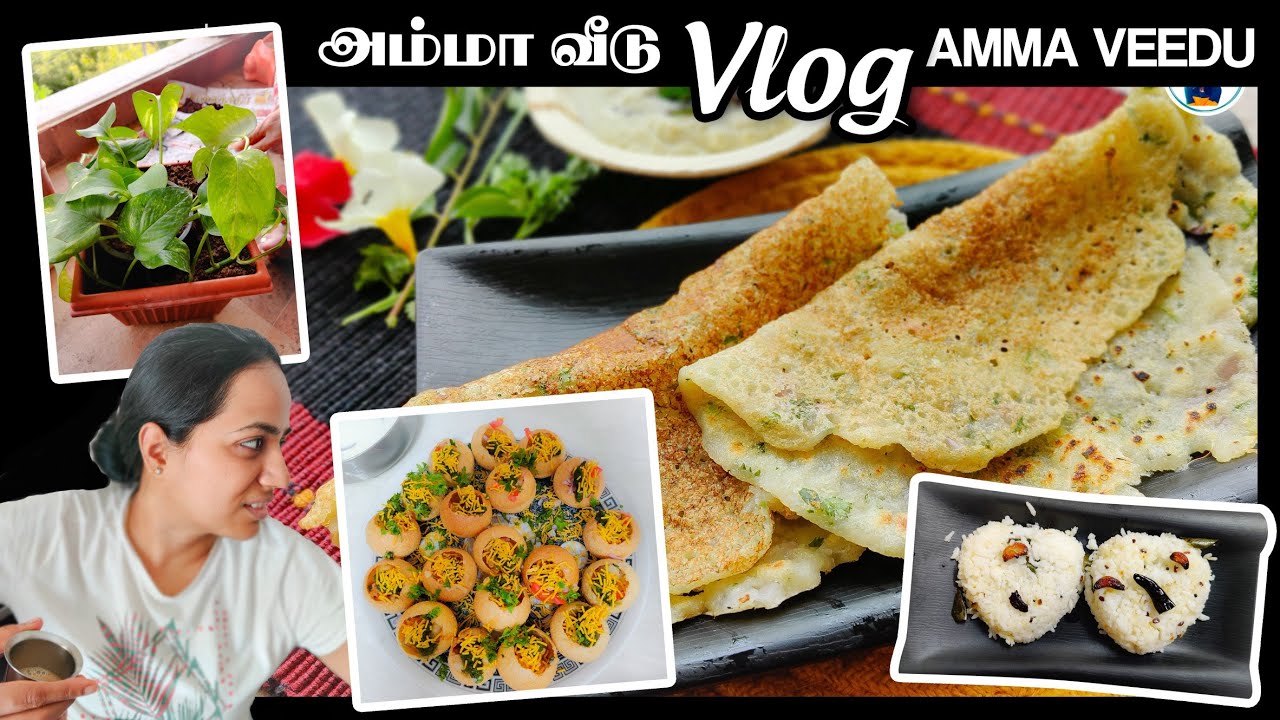 Amma Rotti Amma veedu vlog|Karnataka style rava roti|Dahi puri|Burnt garlic rice ...