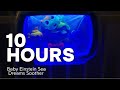 Baby Einstein Sea Dreams Crib Soother (Newest Version) – Full Music Cycle | 10 Hours