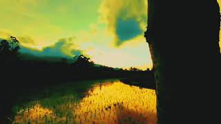 DUNIA DIKALA SENJA || CINEMATIC VIDEO