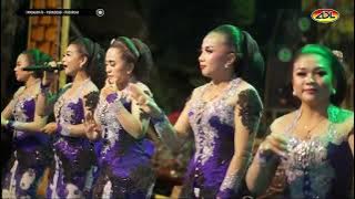 Caping Gunung Jenggleng with Adilaras