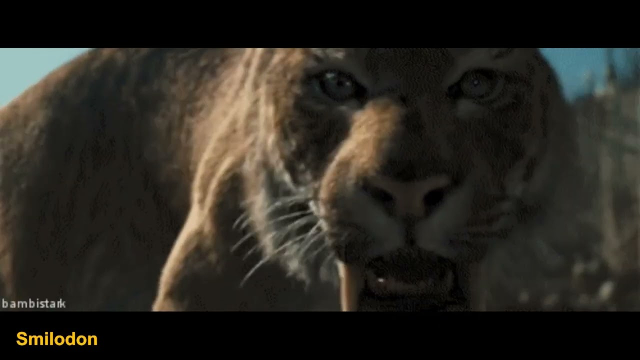 [12 of 12] Neozoic Era: Quaternary Period - Montessori Timeline of Development