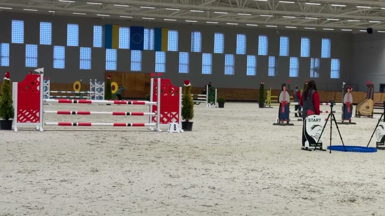 Quincy 21 by One Day jumping mare 